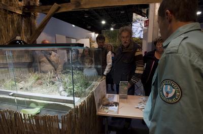 World of Hunting and Nature Exhibition Hungexpo/Hungary 2021/Budapest-stock-photo