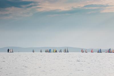 SZANTOD - JULY 18 : Sailing boats compete on 51.th Kekszalag championship at the Lake Balaton on 18 July 2019 in Szantod, Hungary.-stock-photo