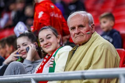 Hungary v Serbia - International Friendly-stock-photo