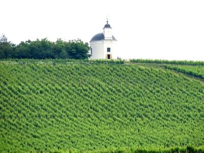 Tokaj wine region - Tarcal vineyard - Terézia chapel - Hungary-stock-photo