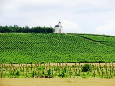 Tokaj wine region - Tarcal vineyard - Terézia chapel - Hungary-stock-photo