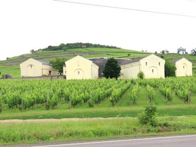 Mád - Tokaj wine region - Vineyaed - Cellars - Hungary-stock-photo