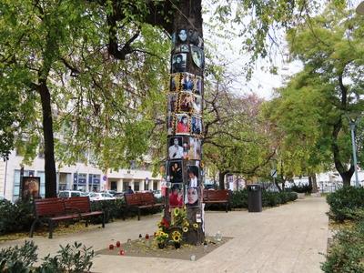 Michael Jackson memorial tree in downtown Budapest-stock-photo