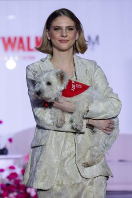 Dogs on the Catwalk in Budapest-stock-photo