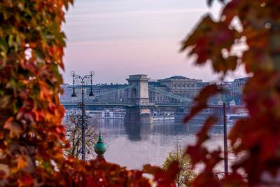 Hall of Varkert bazar in Budapest.-stock-photo