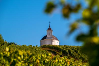 Terez chapel in Tokaj region Hungary-stock-photo