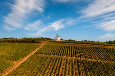 Terez chapel in Tokaj region Hungary-stock-photo