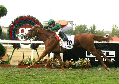 85. galopp Magyar Derby-stock-photo