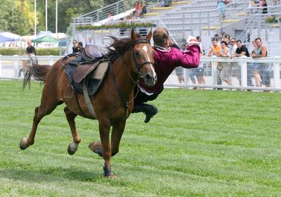 85. galopp Magyar Derby-stock-photo