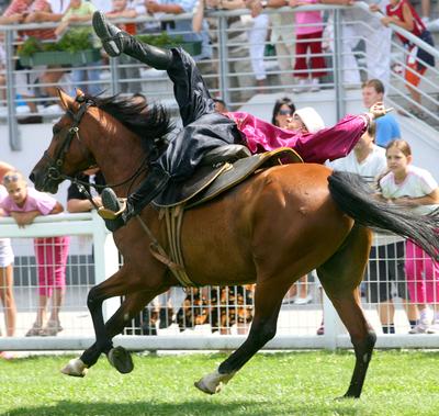 85. galopp Magyar Derby-stock-photo