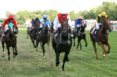 85. galopp Magyar Derby-stock-photo