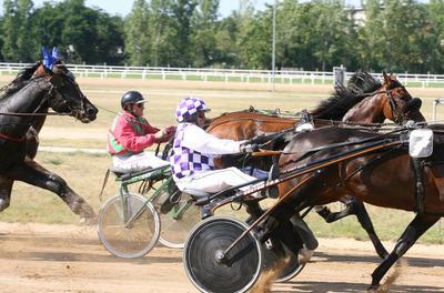 85. galopp Magyar Derby-stock-photo