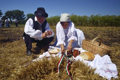 Jászapáti Aratónap-stock-photo